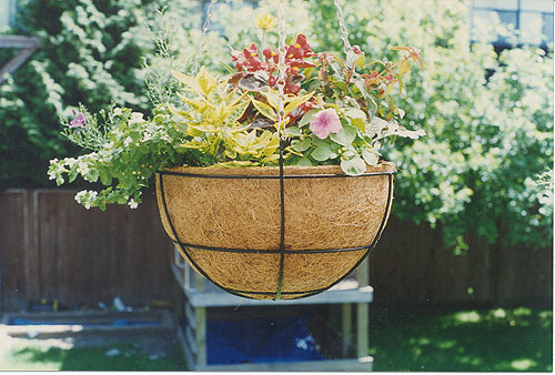 Moulded Rubberized Coir Plant Pots